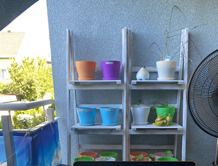 Ausblick von meinem Balkon - Homeoffice-Arbeitsplatz 