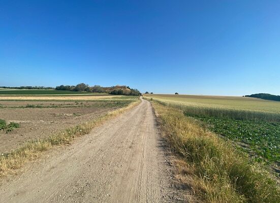 Feldweg und wolkenloser blauer Himmel