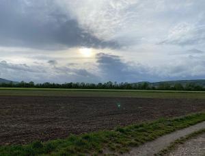 Feld und bewölkter Himmel, bei dem man ein bisschen die Sonne sieht