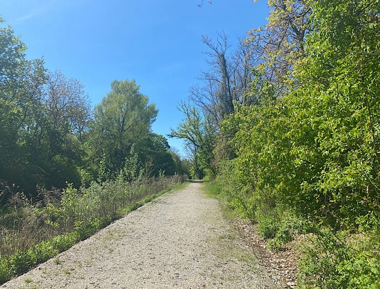 Ein schöner Weg, blauer Himmel und auf beiden Seiten Bäume mit schönen grünen Blättern.